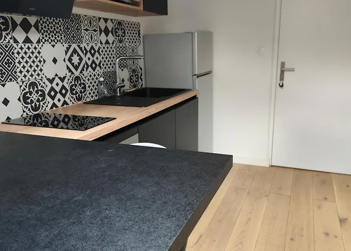 La Muse Hugo Apartment Toulouse