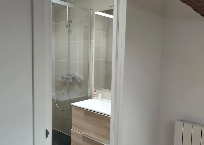 Apartamento La Muse Hugo Toulouse