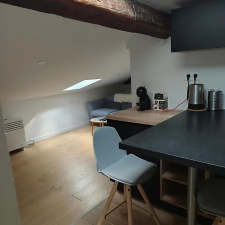 Apartment La Muse Hugo *
